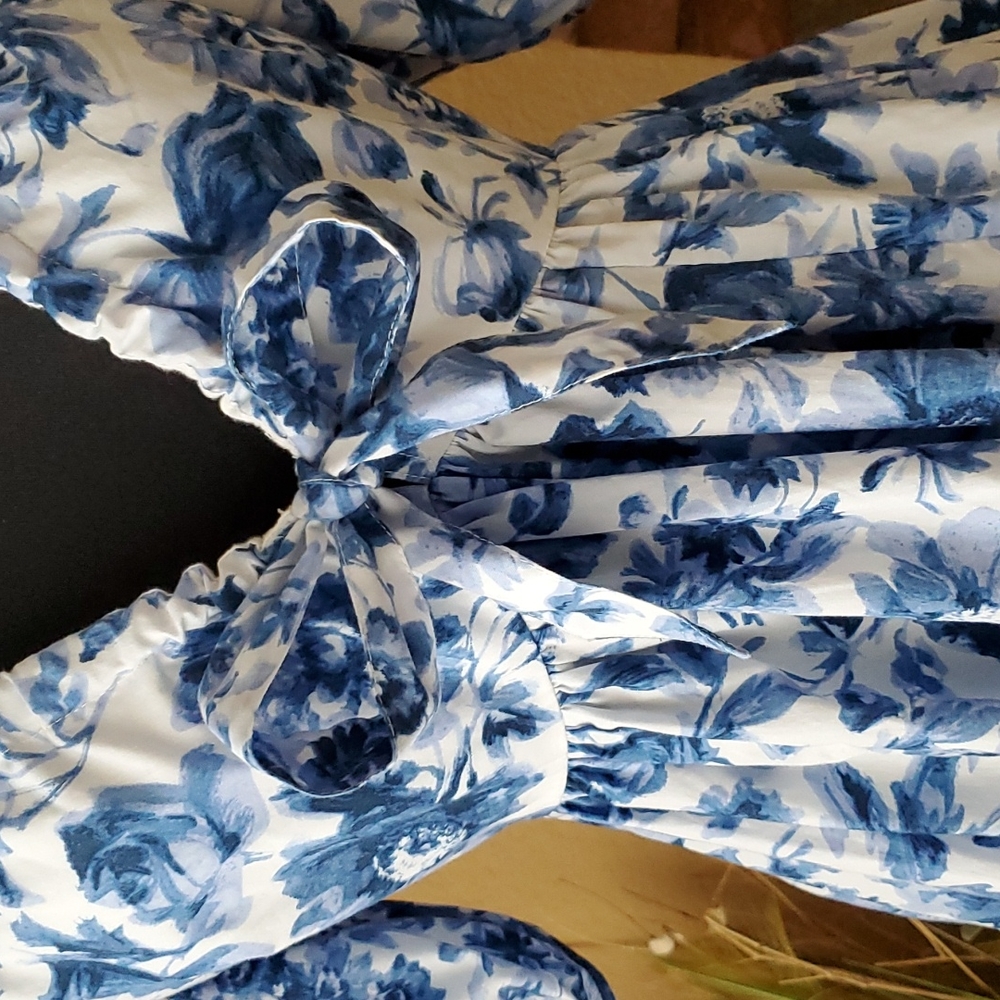 Abercrombie & Fitch Blue Floral Dress - Picture 7 of 16